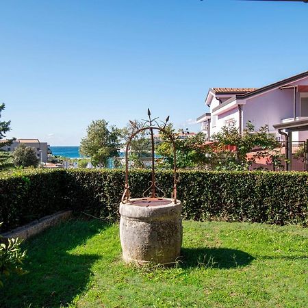 Holiday Apartment 50M From The Beach Pjescana Uvala Exterior foto